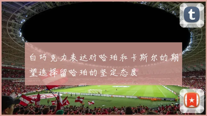 白巧克力表达对哈珀和卡斯尔的期望选择留哈珀的坚定态度